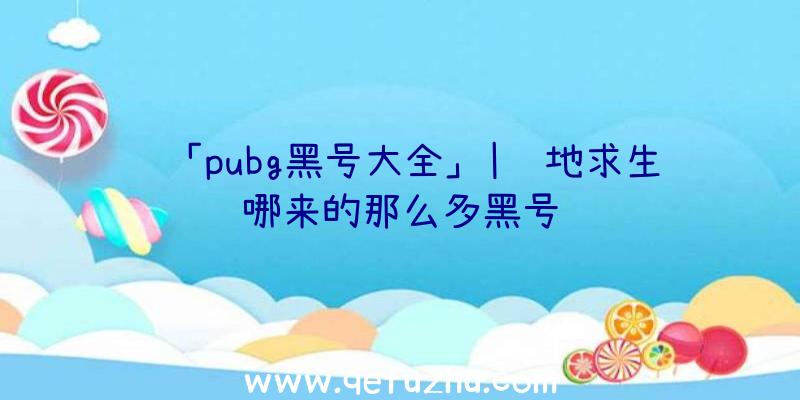 「pubg黑号大全」|绝地求生哪来的那么多黑号